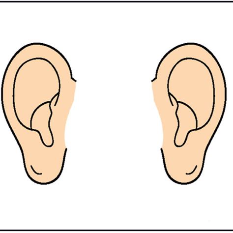 ears clip art clip art library