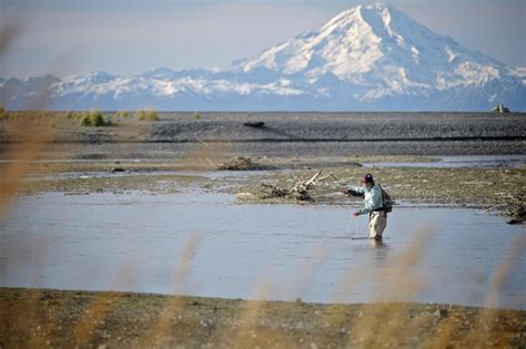 Alaska Fishing and Bear Watching Tours | Entrée Destinations