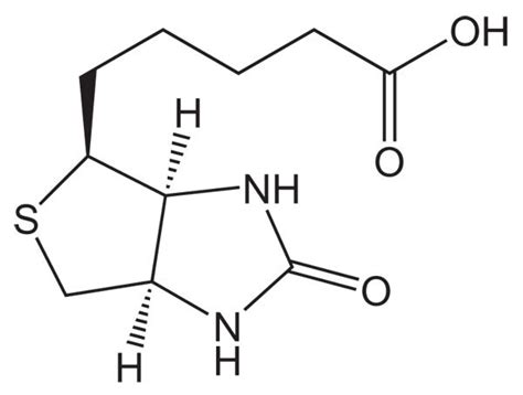 D(+)-Biotin CAS 58-85-5 | 851209