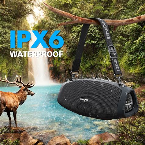 W-KING X10 with Microphone - 70W Wireless Speaker – wkingspeaker