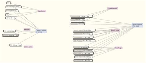 Scapple: A Tool I'm Using For DNA Matches - Hound on the Hunt