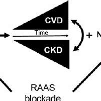 Reninangiotensinaldosterone System Blockade Cross Talk Between