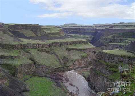 Palouse River Canyon Photograph by Charles Robinson - Fine Art America