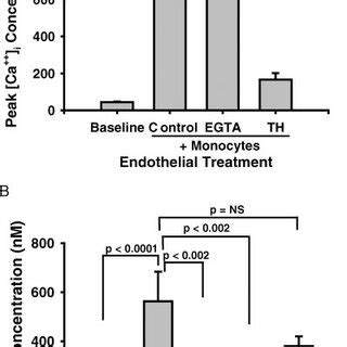 Xeno Specific Endothelial Calcium Signals In Response To Monocyte