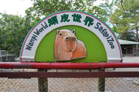 【台南景點】頑皮世界野生動物園 園區內有三百多種溫馴可愛小動物和遊樂園跟水上樂園一票玩到底 跟著阿瑋去旅行