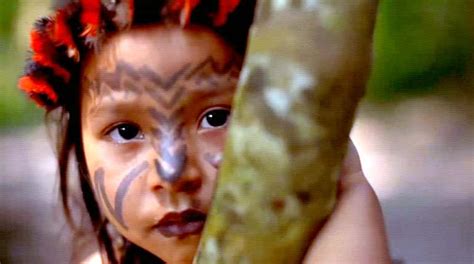 indigenous tribes pray peace harmony  education  amazon fires