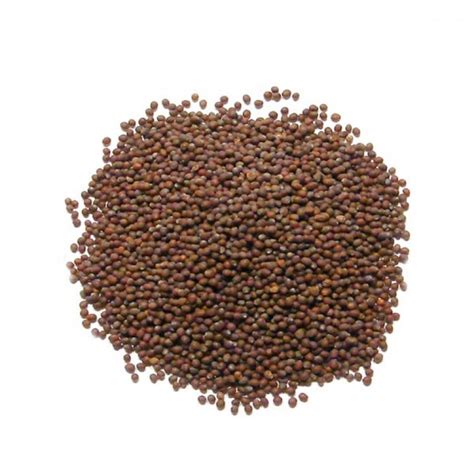 Mustard Seed Raisarson 100g Maya Bazaar