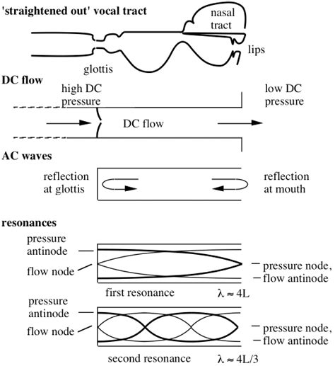 voice acoustics  introduction   science  speech  singing