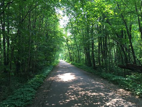 West Michigan's Best Paved Biking Trails to Check out This Summer