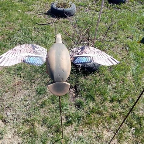 Чучела уток махокрылы и планирующие работают от ветра видео отправлю ...