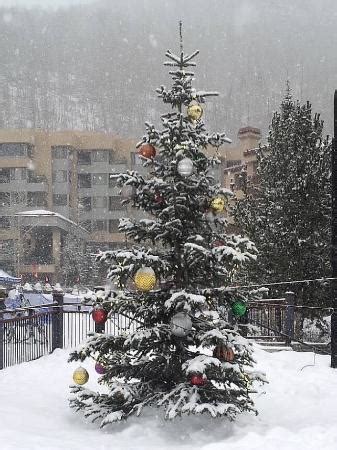 Durango Christmas Events | Durango Downtown