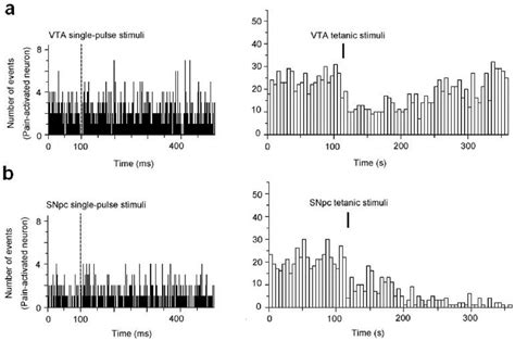 Electrolytic Lesions Of The Fasciculus Retroflexus A Intact