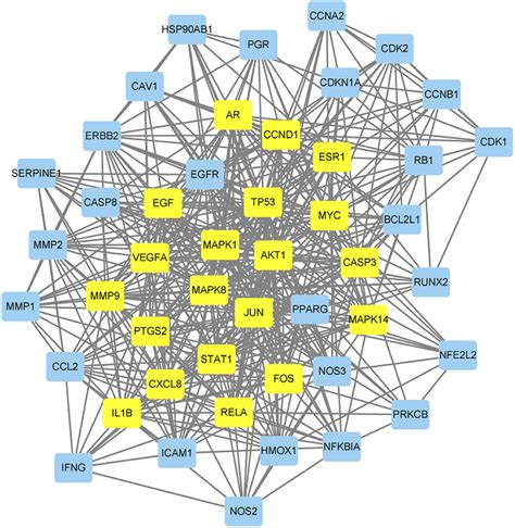 Construction Of Ppi Network The Core Proteins Of The Ppi Network Are