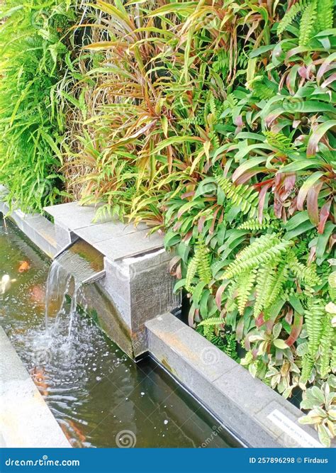 Fish Pond Around Such Beautiful Ornamental Plants Stock Photo - Image ...