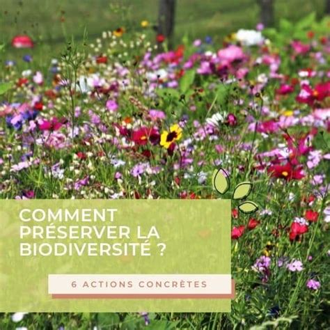 Comment préserver la biodiversité 6 actions concrètes