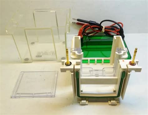 Bio Rad Mini Protean 3 Sds Page Electrophoresis System Complete