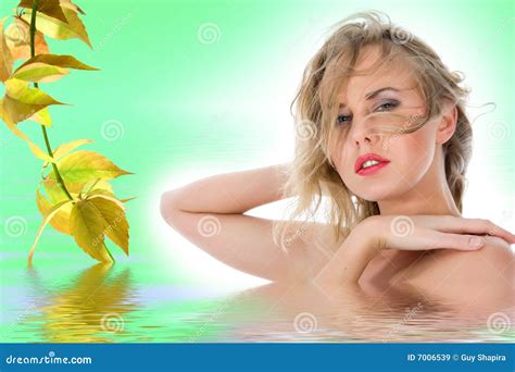 Retrato Del Blonde Del Nude Imagen De Archivo Imagen De Refleje Nanotechnology