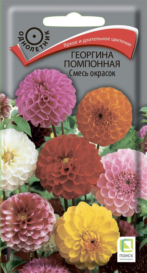 ЦВЕТЫ ОДНОЛЕТНИЕ — Семена для Сибири