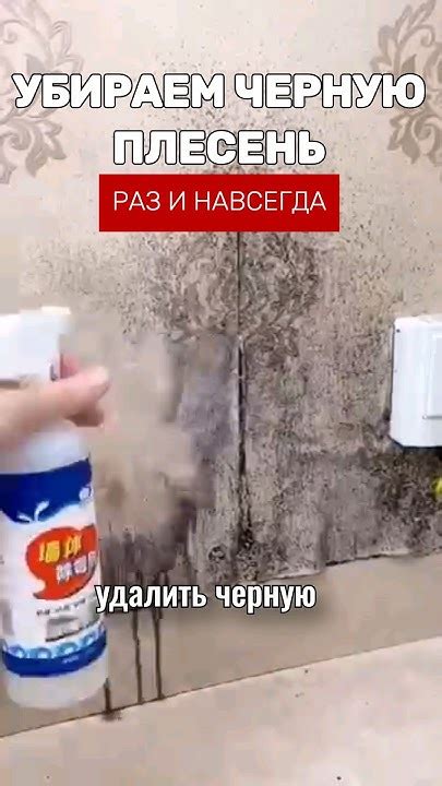 Средство от черной плесени которое мне реально помогло! #покупки #топ # ...