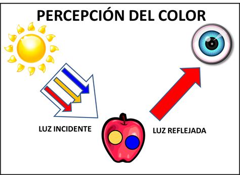 Arte Y FormaciÓn El Color