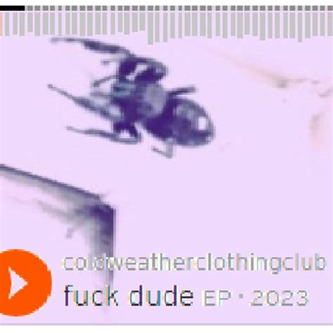 Stream Coldweatherclothingclub Listen To Fuck Dude Playlist Online For Free On SoundCloud