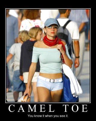From The Moshe Files Camel Toe Humour Porn Pictures Xxx Photos Sex Images Pictoa