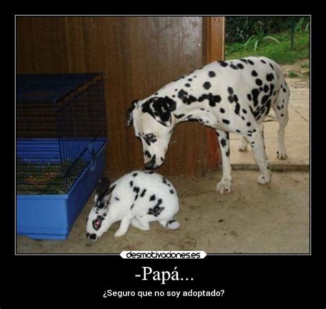 Im Genes Y Carteles De Vagina Pag Desmotivaciones