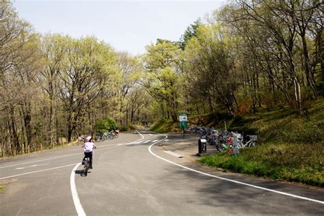 国営武蔵丘陵森林公園（埼玉県比企郡滑川町・熊谷市）／公園へ行こう！