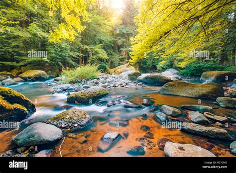Beautiful River In Forest Nature Peaceful Toned Nature Background