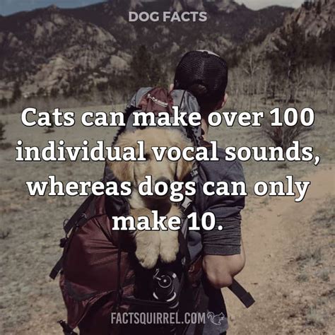 Cats can make over 100 individual vocal sounds, whereas dogs can only ...