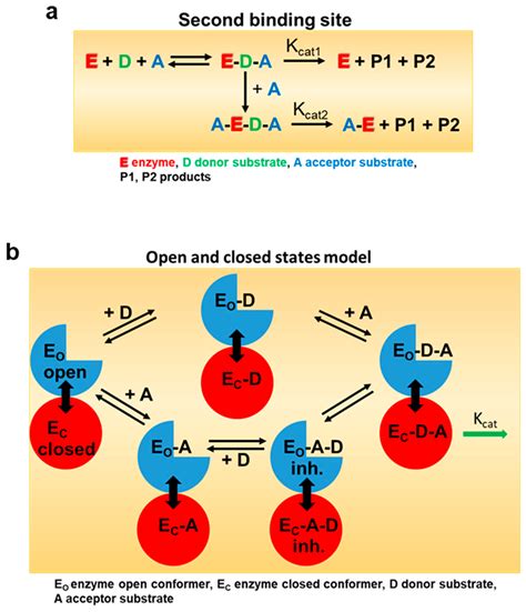 Ijms Free Full Text Acceptors And Effectors Alter Substrate