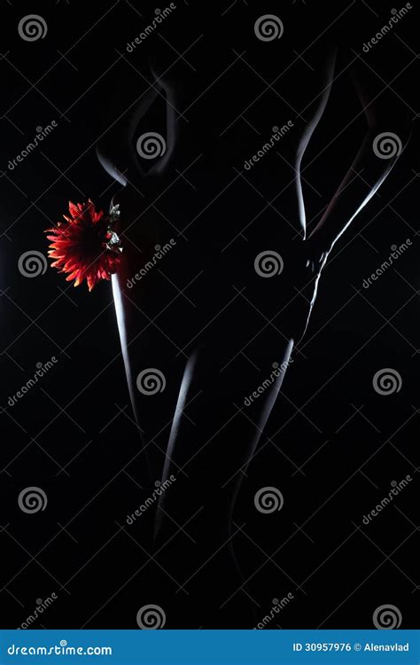 Corpo Sexy Da Mulher Do Nude Foto De Stock Imagem De Sensualidade Bonito 30957976