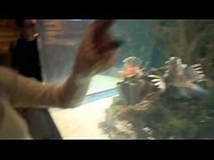 Aquarium Trip With Aliya Brynn Turns Into Aggreive Ass Eating And Milking Xxx Mobile Porno