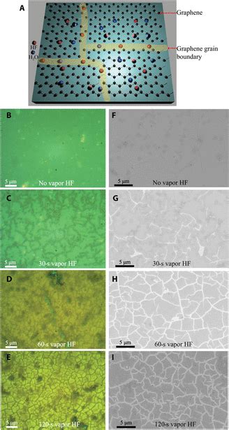 Direct Observation Of Grain Boundaries In Graphene Through Vapor Hydrofluoric Acid Vhf