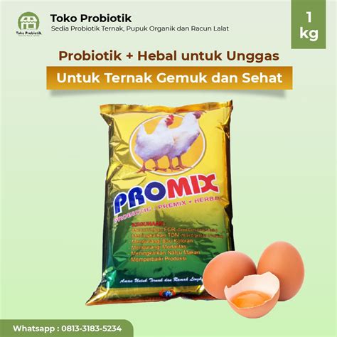 Jual Promix Probiotik Ternak Unggas Untuk Penggemukan Dan Kesehatan