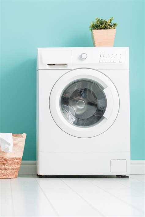 spot mould  growing   washing machine  homes