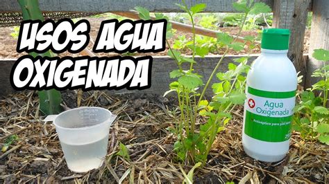 7 Usos Brillantes del AGUA OXIGENADA en el Huerto o Jardín La Huerta