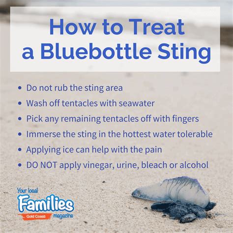 How to Treat a Bluebottle Sting | Families Magazine