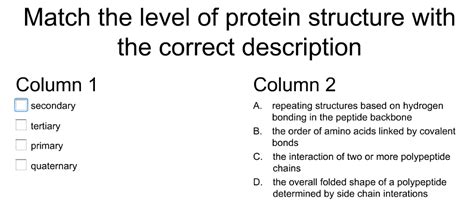 Solved Match the level of protein structure with the correct | Chegg.com