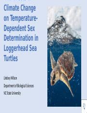 The Effects Of Climate Change On Sex Determination In Loggerhead Course Hero