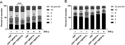 Strain Specific Disruption Of Interferon Stimulated N Myc And STAT