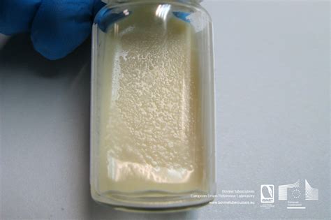 Eurl Bovine Tuberculosis Images Database