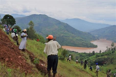 Water-saving irrigation boosts land productivity in Rwanda - InfoNile