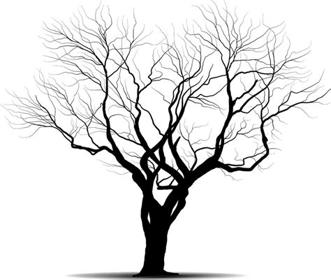 Black Branch Tree Or Naked Trees Silhouettes Set Hand Drawn Isolated Illustrations
