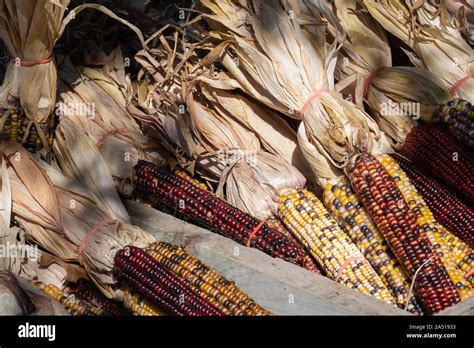 American indian corn hi-res stock photography and images - Alamy