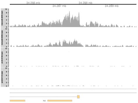 Coverage Tracks For A Simple DB Event Between Pro B And Mature B Cells