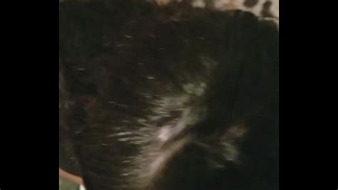 Hoodrat Videos XVIDEOS