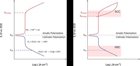 Left Schematic Representation Of Anodic And Cathodic Polarization