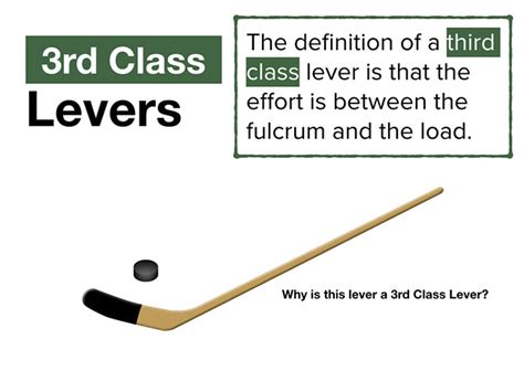 Examples of third class lever