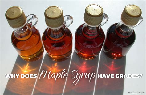 Why does Maple Syrup have grades? - Bear Mountain Maple